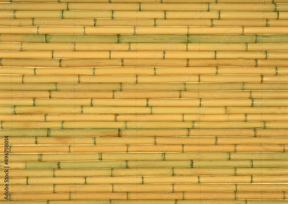 Horizontal layout of bamboo close-up.Texture or background