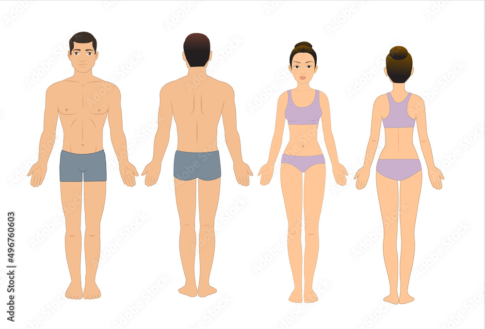 Male and female body chart, front and back view, blank human body