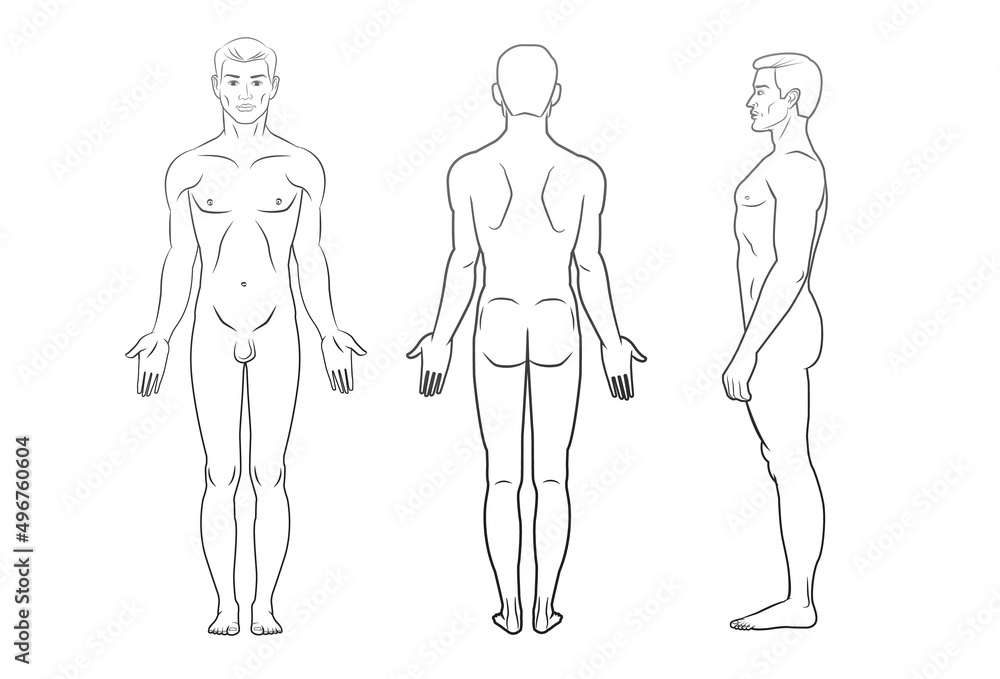 Whole body of a young woman front and back  Stock Illustration 84009231   PIXTA