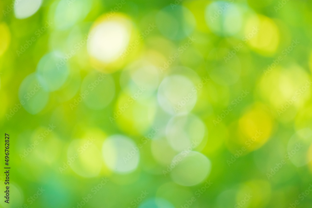 Abstract blur green leaf bokeh nature background Abstract blur green leaf bokeh nature background