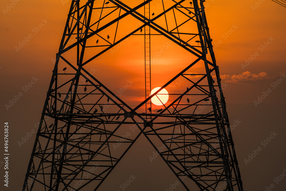 Silhouette of bird perched on high voltage post,High voltage tower sky sunset background.