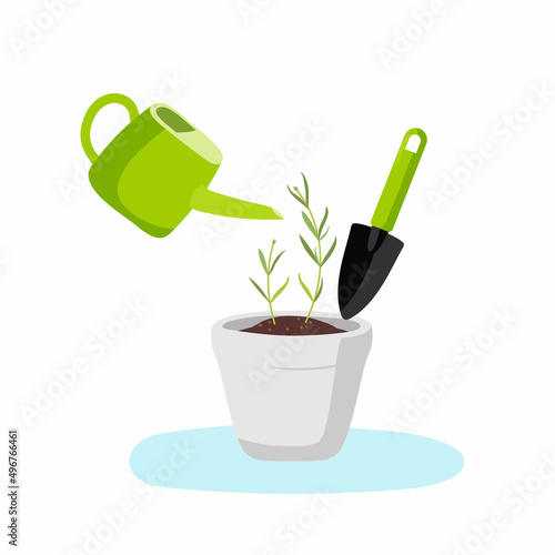 Growing plants at home. Green watering can, garden tool, flowerpot. Floristry and gardening. Agricultural plant at home. Gardening, floriculture concept. Colored flat vector illustration