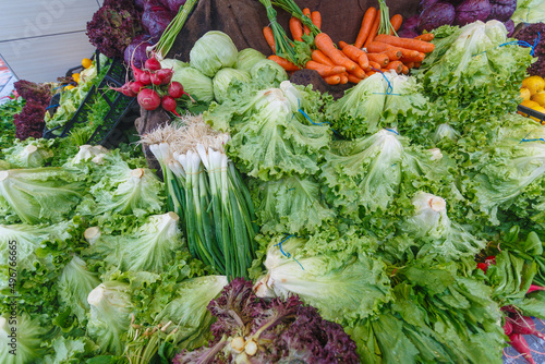 a set of vegetables, lettuce carrots, onions, radishes, cabbage close-up 