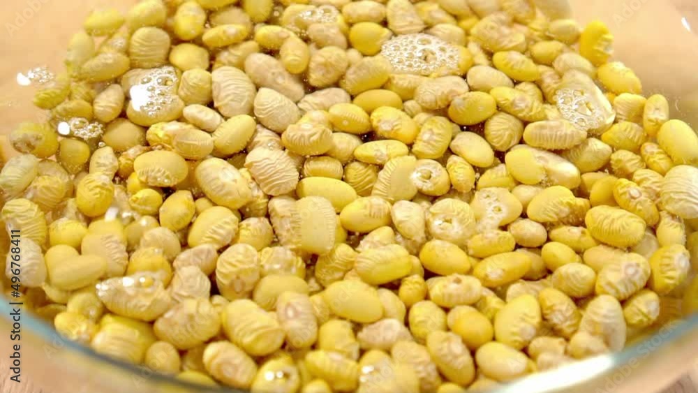 Raw Peruvian (Canary) beans soaked in water in glass bowl. Cooking mexican legumes Raw Peruvian (Canary) beans soaked in water in glass bowl. Cooking mexican legumes