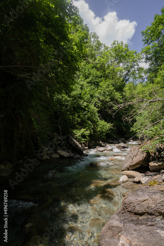 Small river with crystal clear water in a very dense green forest