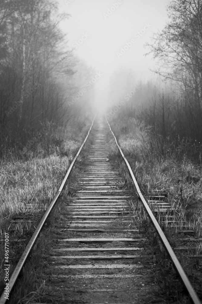 Empty railway perspective in a foggy morning, vertical black and white