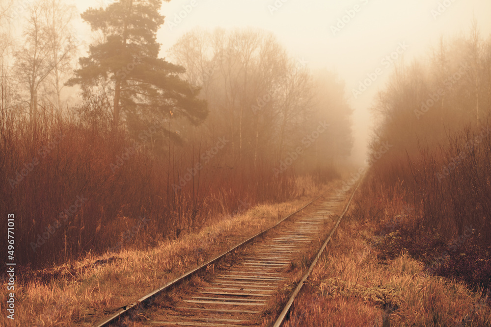 Fototapeta premium Empty railway is in a foggy forest in autumn morning