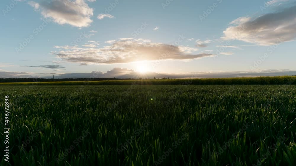 timelapse in field in the French countryside of normandy in spring timelapse in field in the French countryside of normandy in spring