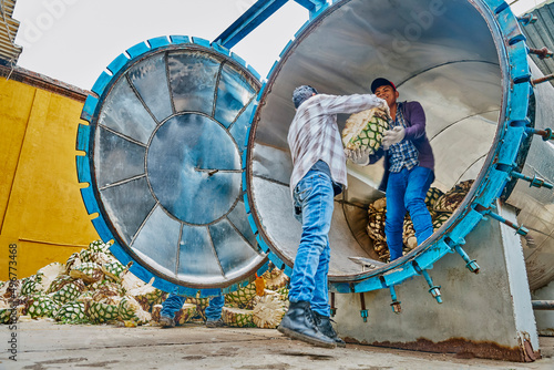 Man piling agave in oven ready to steam it photo