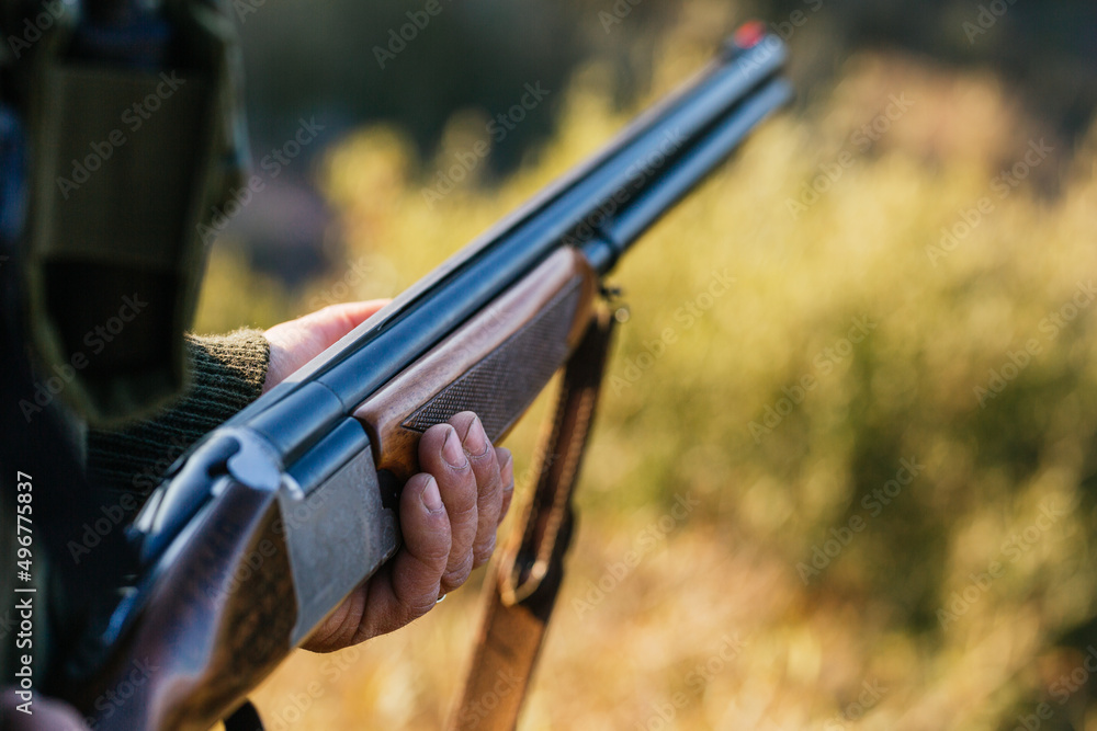 View of hands of hunter holding his shotgun in wild - obrazy, fototapety, plakaty 