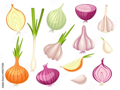 Cartoon onion and garlic. Organic onions, fresh spring raw vegetables. Cut white and red vegan food, cutting half and sliced. Cooking spices neat vector set