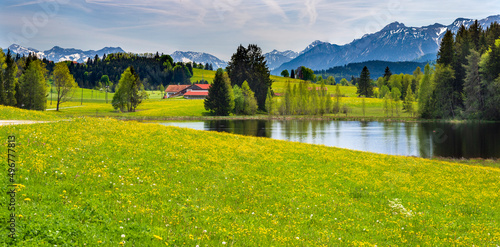Quadro su tela beautiful landscape with vibrant green color at springtime