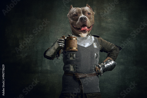 Surreal artwork with medieval knight, warrior headed of dog's head wearing armour isolated over dark vintage background. Comparison of eras, history. Contemporary artcollage