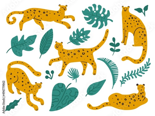 Leopards and plants. Wild animals. Jungle feline predators with tropical leaves. Cute doodle spotted cheetahs in different poses. Savannah carnivore mammals. Vector furry jaguars set