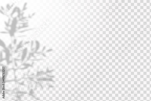Realistic shadow tropical leaves and branches on transparent checkered background. The effect of overlaying shadows. Natural light layout.