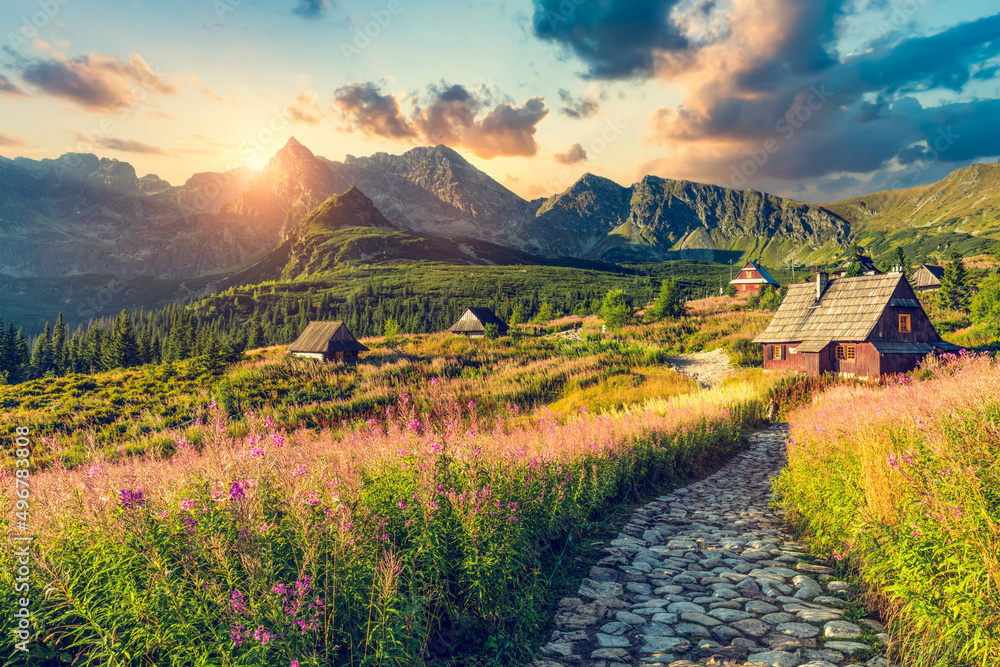 Tatra mountains with valley landscape in Poland - obrazy, fototapety, plakaty 