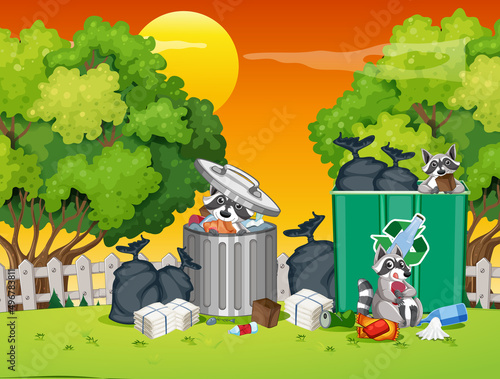 Scene with raccoons eating from trash