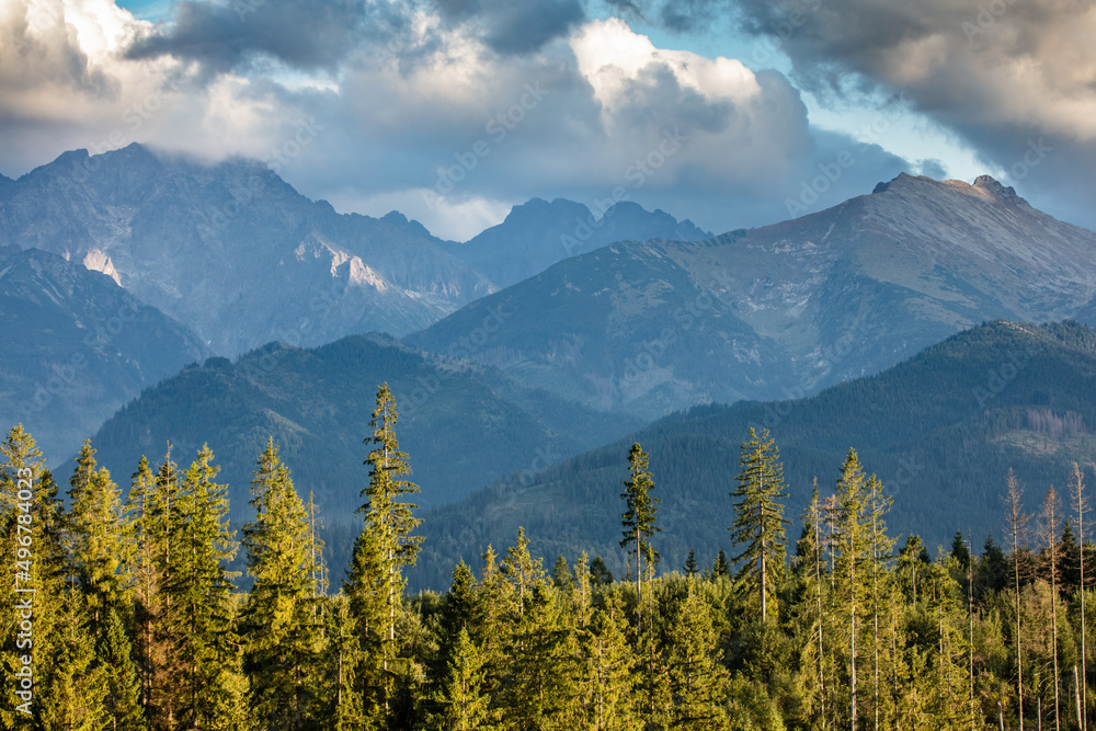 Obraz premium Tatra mountains at sunset with forest valley landscape in Poland
