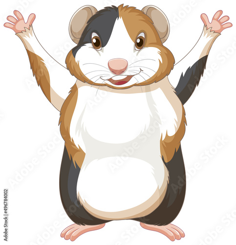 A Cute guinea pig on white background