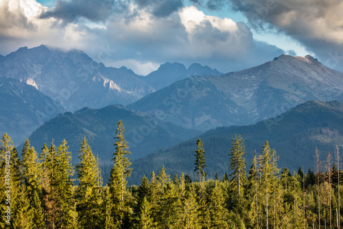 Tatra mountains at sunset with forest valley landscape in Poland