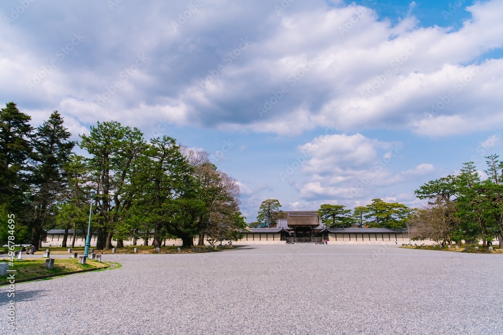 Fototapeta premium 京都へ行こう