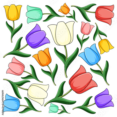 Tulip flowers in many colors