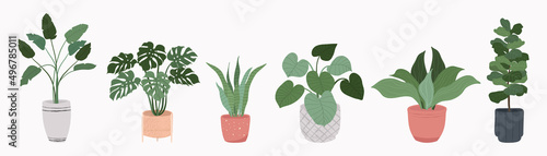 Canvas Print Potted plants collection on white background