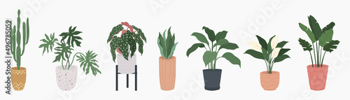 Potted plants collection on white background. Set of interior house plants with baskets, flower pot, monstera, leaves and foliage. Different home indoor green decor illustration for decoration, art.