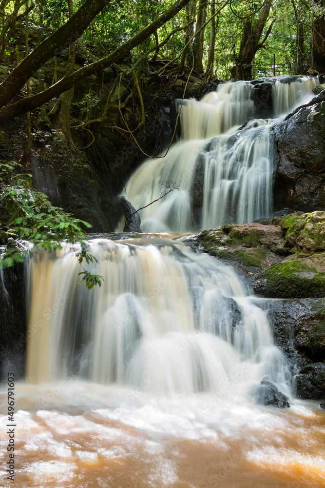 Obraz premium Nairobi River Waterfall in Karura Forest, Kenya