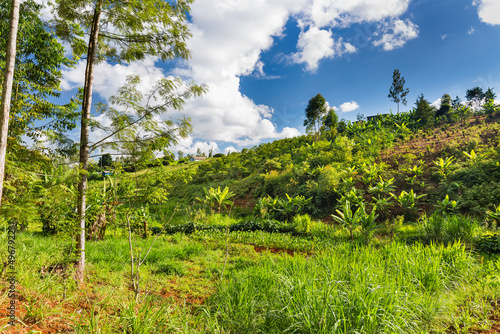 Kenyan Valley Farm Landscape