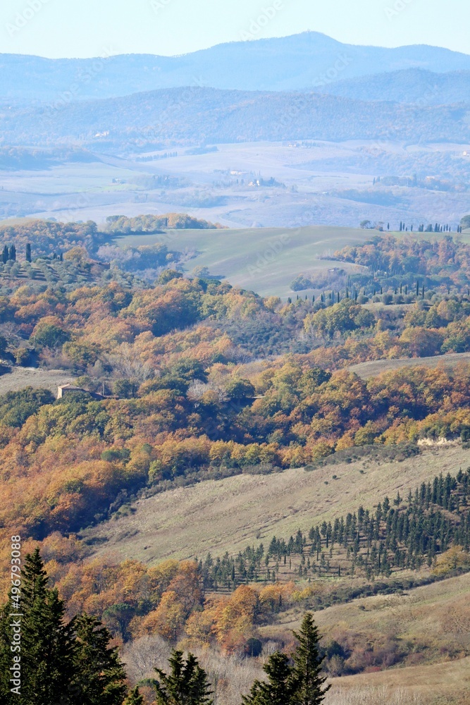 view from the hill