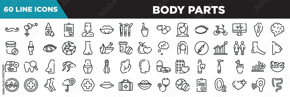 body parts line icons set. linear icons collection. mustache curled tip, male and female gender, drop of liquid, note on a clipboard vector illustration
