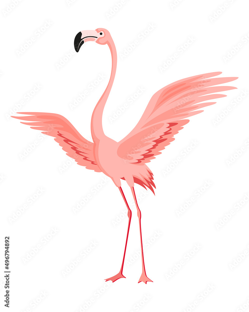 Fototapeta premium Pink flamingo. Exotic tropical bird character. Isolated wildlife animal. Nature wild fauna. Cute african bird standing
