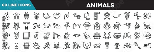 animals line icons set. linear icons collection. hydrotherapy, pet house, cochineal, louse vector illustration