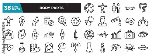set of body parts icons in thin line style. outline web icons collection. hospital medical, human body standing, family of heterosexual couple, mustache curled tip, large intestine vector