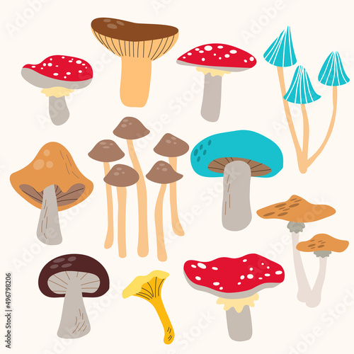 Big different mushrooms set, edible and poisonous fungus collection with cep, fly-agaric, toadstood, slippery jack, rufous milkcap, chanterelle, white mushroom, boletus EPS