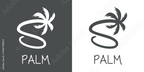Logotipo texto Palm con letra S en tipografía con forma de silueta de palmera en fondo gris y fondo blanco