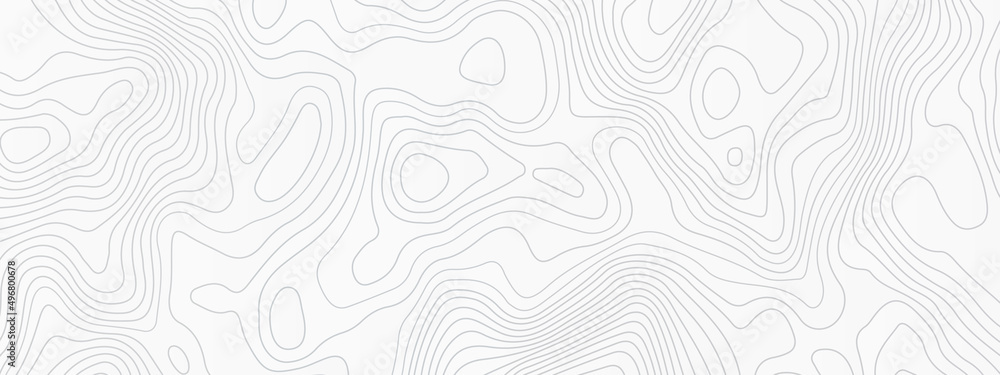 The stylized height of the topographic contour in lines,  Topographic Map Seamless Pattern. Vector Background, white topographic line contour map background, geographic grid map.