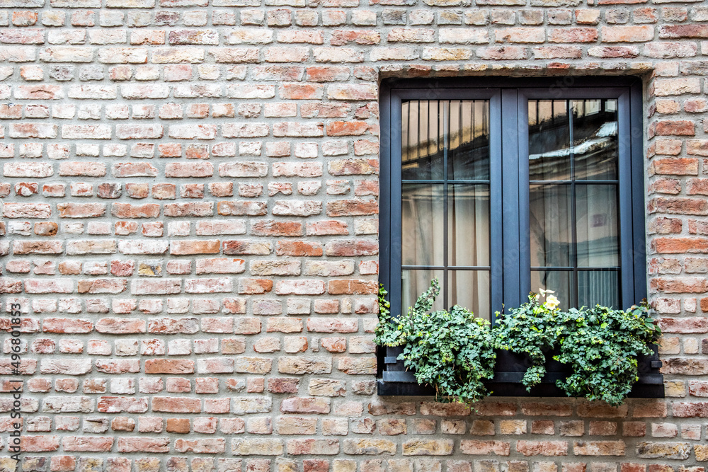 Brick wall with a window. Green plants on the window. Window decor. An old house.