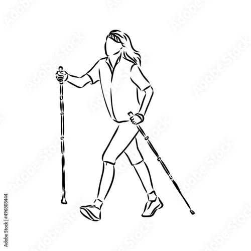Continuous line drawing. A young woman walks on foot with walking sticks. Nordic walking, vector sketch illustration