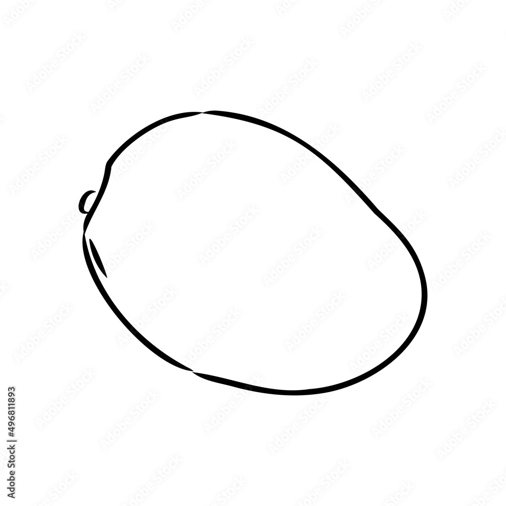 Mango hand drawn illustration by ink and pen sketch. Isolated vector design for using in natural or organic fruit product and health care goods. Mango hand drawn illustration by ink and pen sketch. Isolated vector design for using in natural or organic fruit product and health care goods.