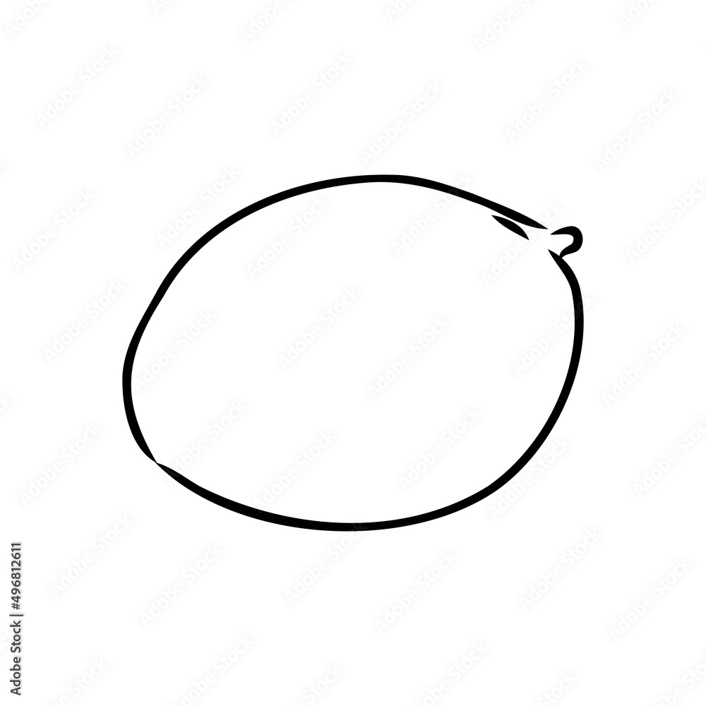 Mango hand drawn illustration by ink and pen sketch. Isolated vector design for using in natural or organic fruit product and health care goods. Mango hand drawn illustration by ink and pen sketch. Isolated vector design for using in natural or organic fruit product and health care goods.