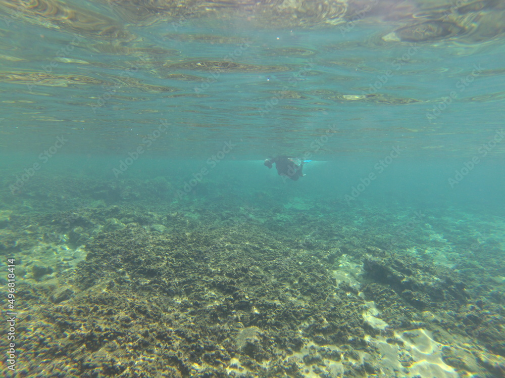 Fototapeta premium Binimel-la, Menorca, Islas Baleares, España