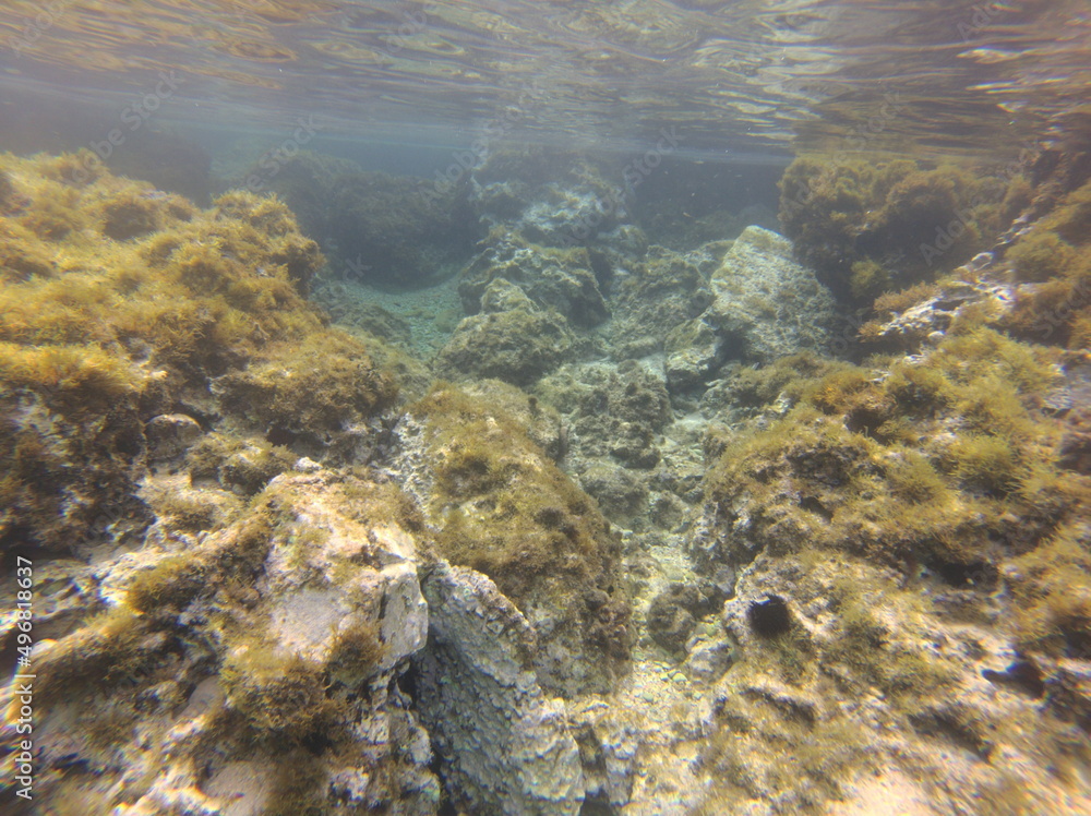 Fototapeta premium Binimel-la, Menorca, Islas Baleares, España