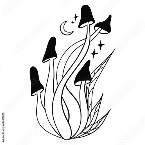 Abstract mystical image of wild poisonous witch mushrooms. cosmic moon phases and rituals.