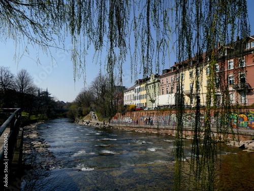der Fluss Dreisam in Freiburg in Breisgau