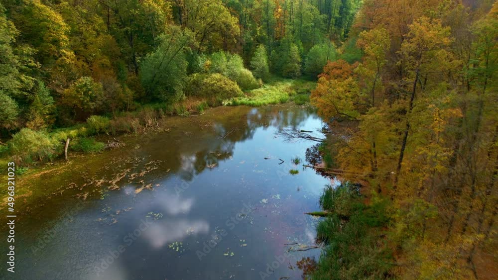 Shallow muddy pond in the autumn forest. Drone shot rising gradually over the colorful woods on beautiful sunny weather. Shallow muddy pond in the autumn forest. Drone shot rising gradually over the colorful woods on beautiful sunny weather.