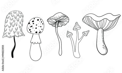 Vector line drawing. Set of vector magic mushrooms