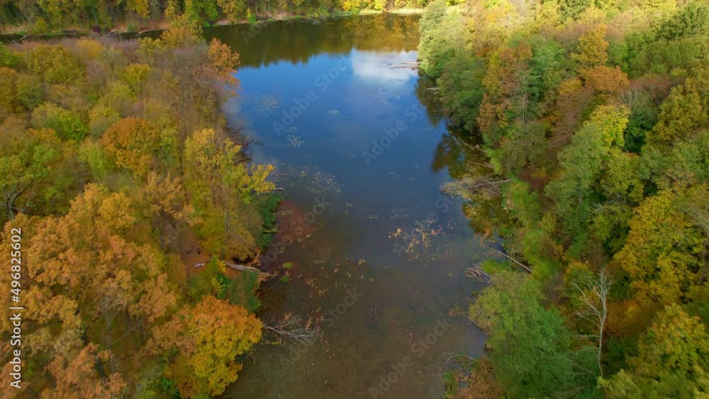 Shallow river with dark yellow water flowing among the woods. Foresty waterfront full of dead trees lying in the water. Sunny autumn day backdrop. Shallow river with dark yellow water flowing among the woods. Foresty waterfront full of dead trees lying in the water. Sunny autumn day backdrop.