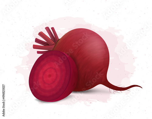 Beetroot Vector Illustration with half piece of beetroot